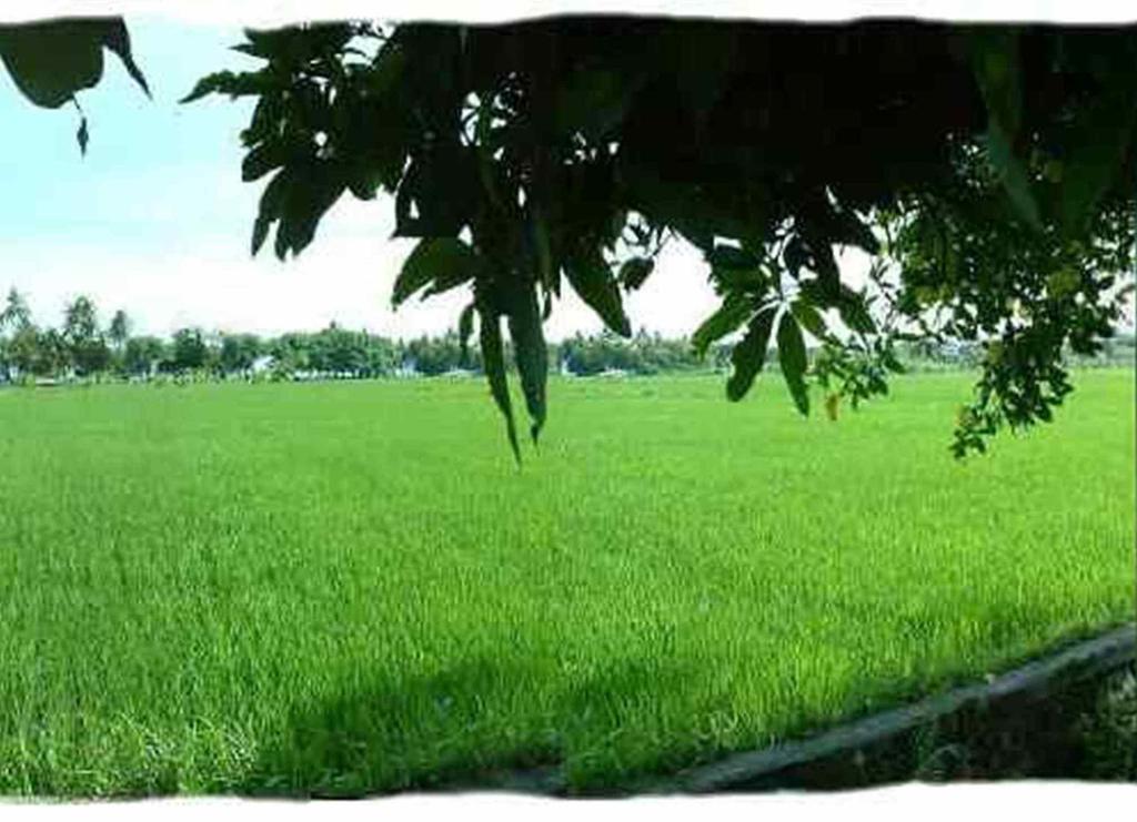 Sawah Lovina Otel Dış mekan fotoğraf