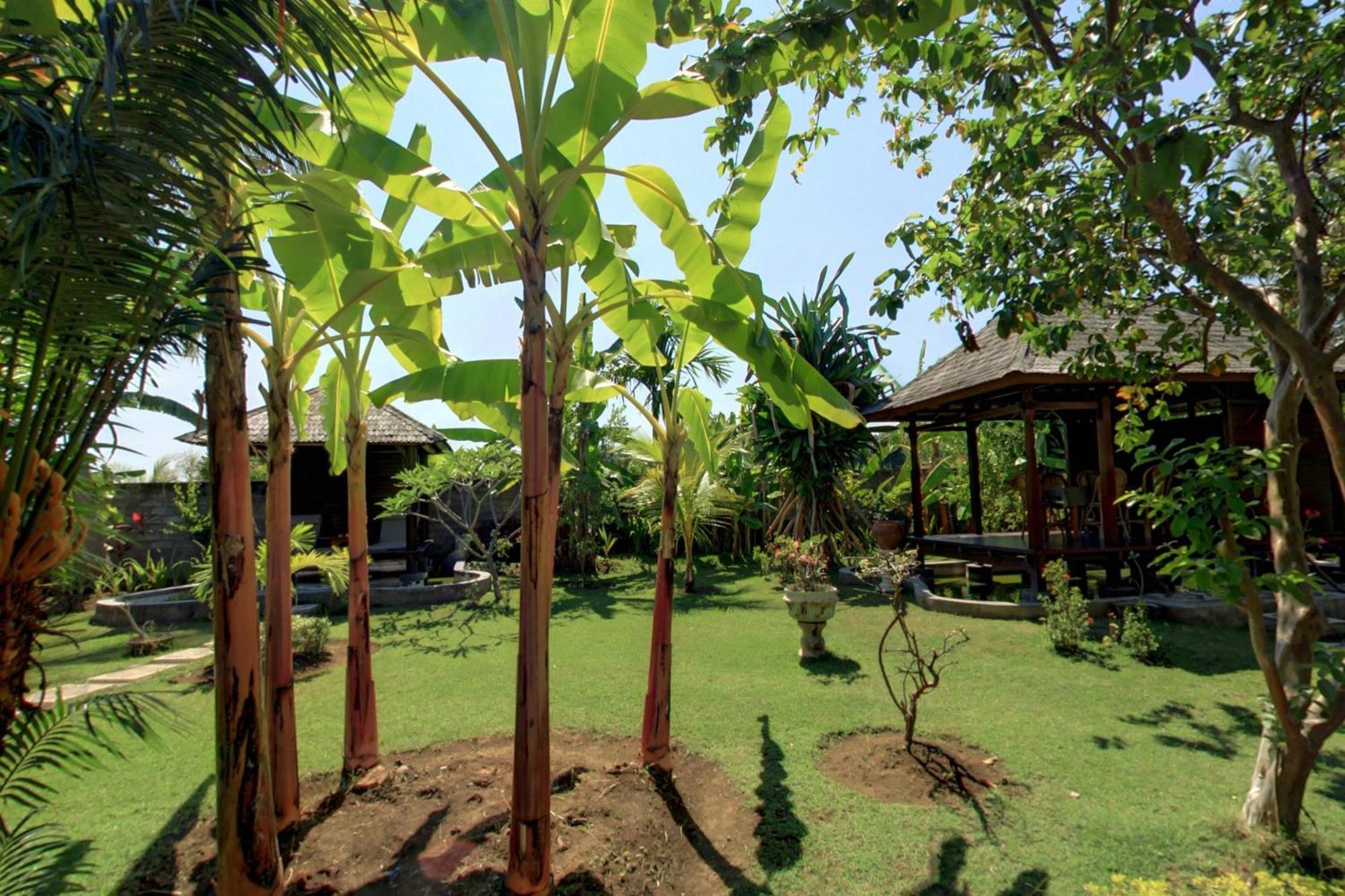 Sawah Lovina Otel Dış mekan fotoğraf